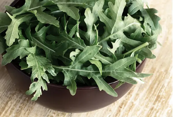 식탁 위에 놓인 신선 한 녹색 아구 굴 잎 — 스톡 사진