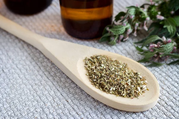 Motherwort - a medicinal plant with a calming effect