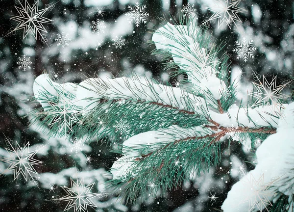 Χριστουγεννιάτικη κάρτα με φωτογραφία χριστουγεννιάτικου δέντρου — Φωτογραφία Αρχείου