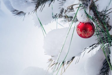 Noel kartında Noel ağacı resmi var.