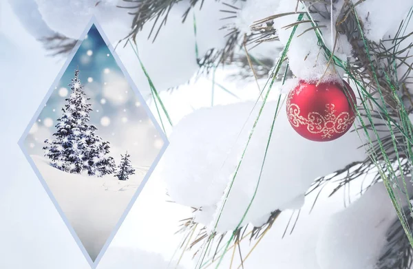 Christmas card with a picture of a Christmas tree. — Stock Photo, Image