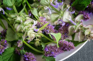 Değerli tıbbi bitkiler adaçayı ve anasonlu çatı katı