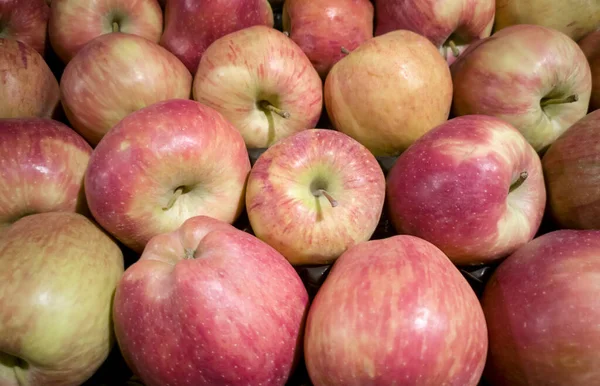 Fresh large red apples in the box