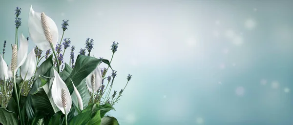 Delicado Branco Spathiphyllum Flores Folhas Verdes Fundo Claro Cores Pastel — Fotografia de Stock