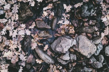 taşlar ve yeşillik nehir