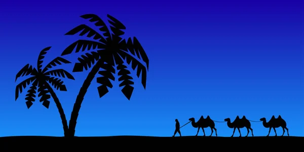 Gece gökyüzünde develeri olan adam. — Stok Vektör
