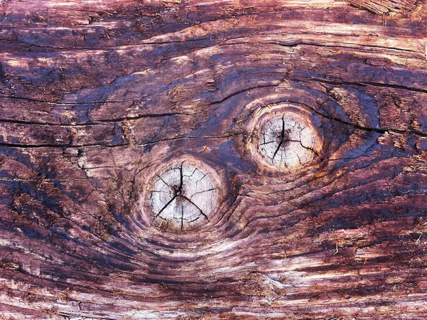 Burnt Wooden Log Two Circles Many Lines Background — Stock Photo, Image