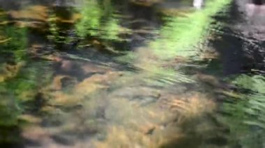 Şelaleden yavaş su akıyor.