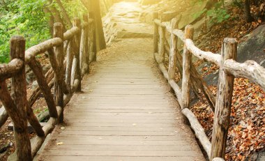 Ormandaki yürüyüş yolunun tahta köprüsü.