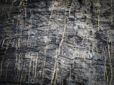 Taş zemin siyah ve gri renkli. Sert doku kayası