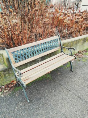 Kuru çiçekleri, bir arka plan parkta renkli bir Bank ile ahşap Bank