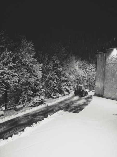 Árvore Neve Fundo Abstrato Textura Árvores Cobertas Neve Noite Noite — Fotografia de Stock