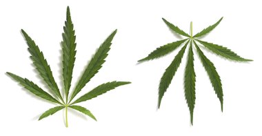 Hint keneviri izole üzerinde beyaz arka plan bırakır