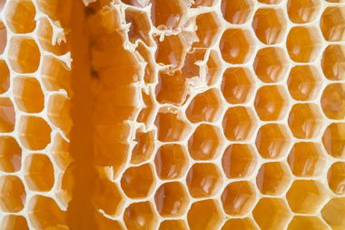 Arı peteğin tatlım closeup, doğal bir arka plan ile