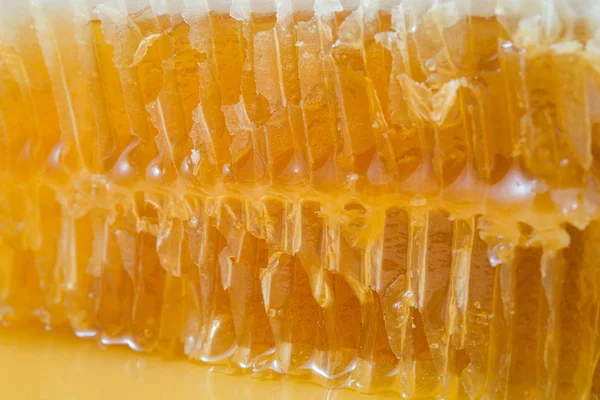 Arı peteğin tatlım closeup, doğal bir arka plan ile