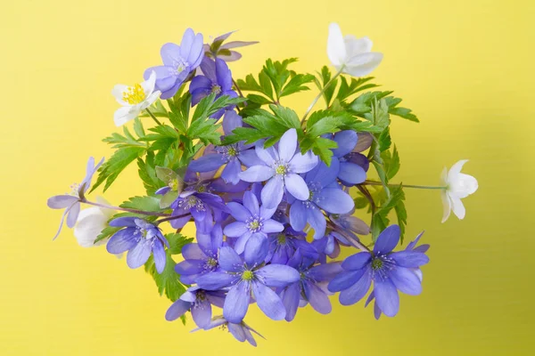 Bouquet Liverleaf Anemone Flowers Yellow Background — Stock Photo, Image