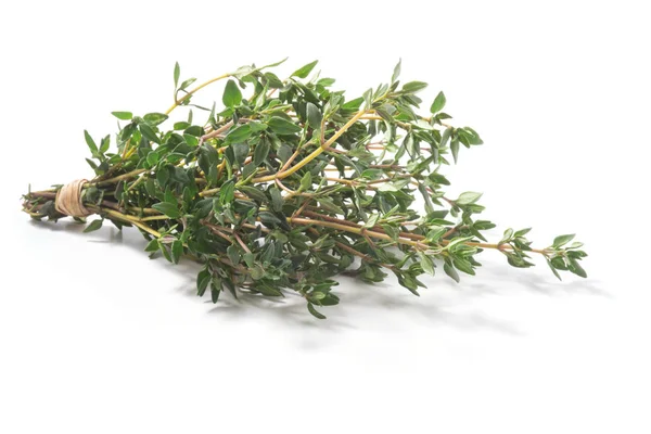 Thym Herbes Fraîches Thymus Vulgaris Arbuste Belle Herbe Isolé Sur — Photo