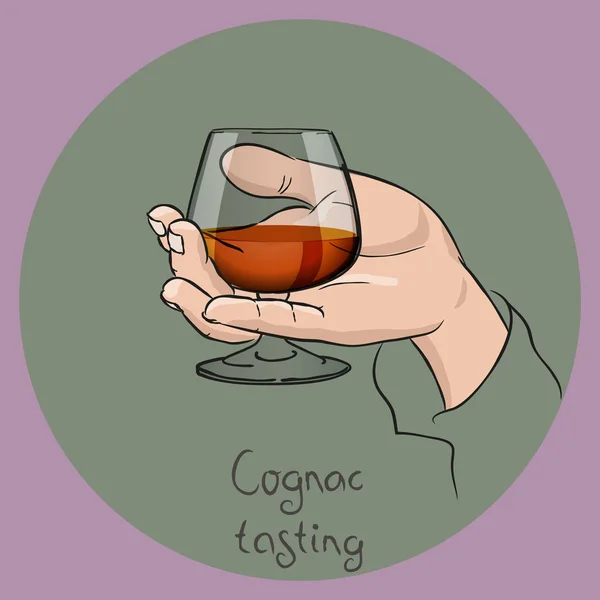 Female Male Hand Holding Cognac Glass Cognac Brandy Tasting Vector — Stock Vector