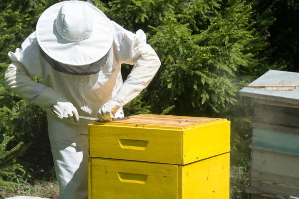 Apicultor Ropa Trabajo Protectora Inspeccionando Marco Del Panal Colmenar — Foto de Stock