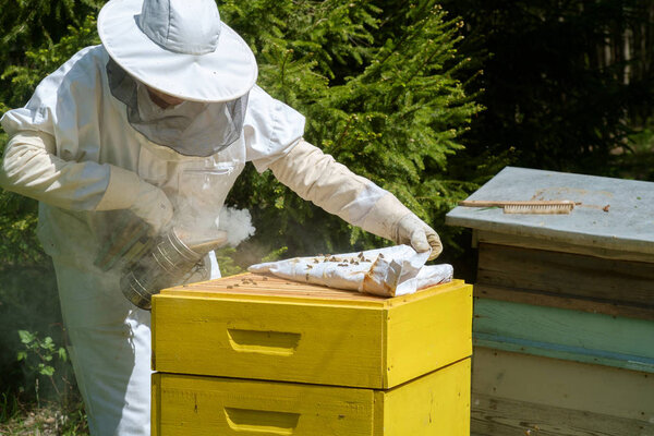 Пчеловод в защитной рабочей одежде осматривает медовую раму на пасеке
.