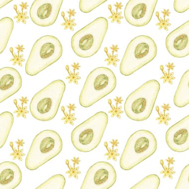 Avokado suluboya. Beyaz arka planda kusursuz desen. Botanik çizimleri suluboya. Tropik yeşil meyve bitkisi.