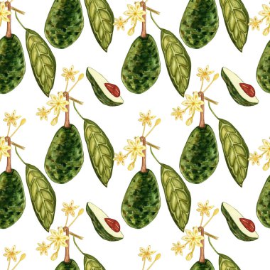 Avokado suluboya. Beyaz arka planda kusursuz desenler var. Botanik çizimler. Tropik yeşil meyve bitkisi.