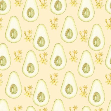 Avokado suluboya. Işık arka planında pürüzsüz desen. Botanik çizimler. Tropik bitki.