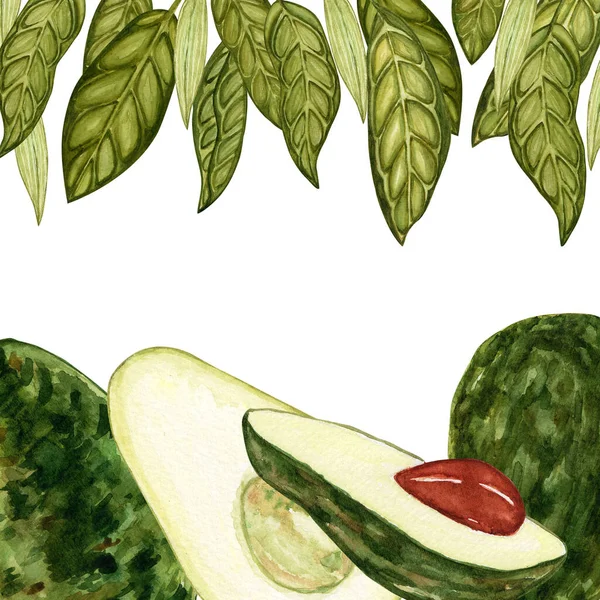 Avocado Aquarel Ontwerp Sjabloon Voor Postcardson Botanische Illustraties Verzameling Van — Stockfoto