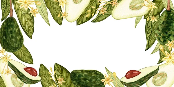 Avocado Aquarel Design Sjabloon Voor Ansichtkaarten Witte Achtergrond Botanische Illustraties — Stockfoto