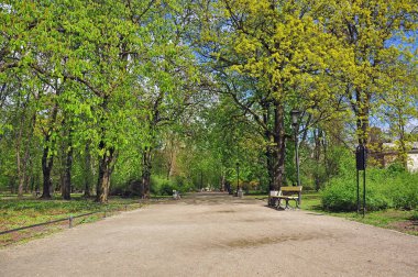 Parkta yürümek. Sıcak gün.