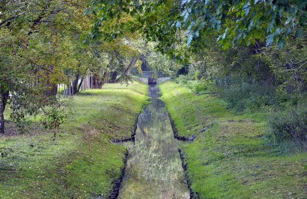 Camina Por Parque Día Caluroso — Foto de Stock