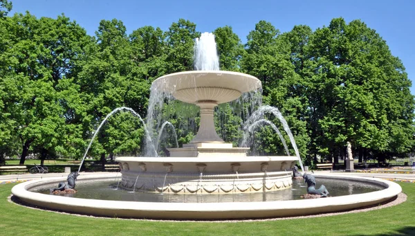 Parkta yürümek. Sıcak gün.