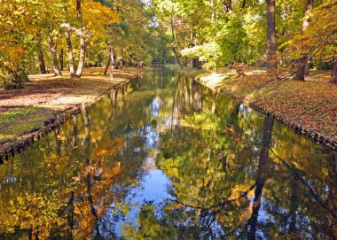 Sonbahar parkta güneş ışınlarının.