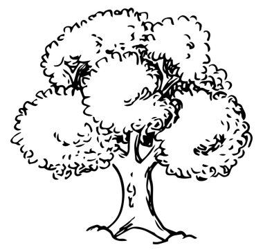 el ile kabataslak bir yaprak döken ağaç vektör çizim