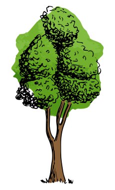 el ile kabataslak bir yaprak döken ağaç vektör çizim