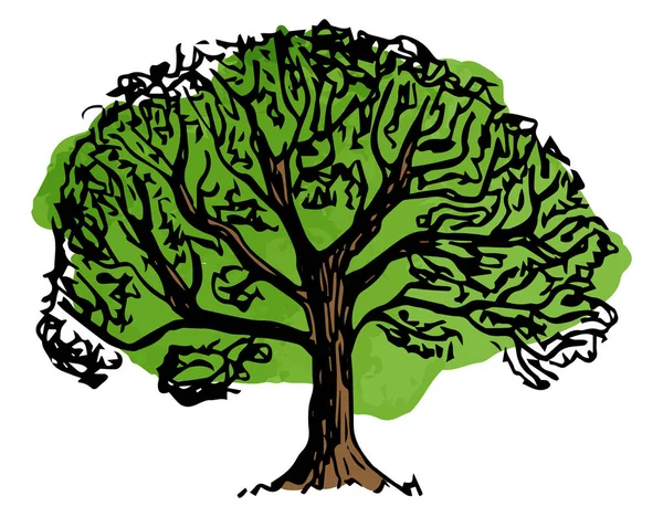 Ilustración Vectorial Árbol Caducifolio Dibujado Mano — Vector de stock