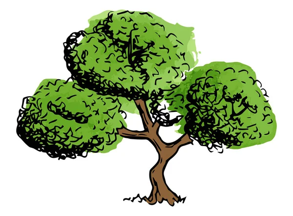 Ilustración Vectorial Árbol Caducifolio Dibujado Mano — Vector de stock