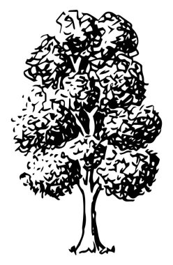 el ile kabataslak bir yaprak döken ağaç vektör çizim