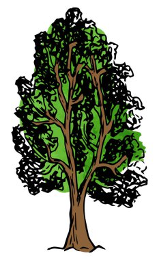 el ile kabataslak bir yaprak döken ağaç vektör çizim