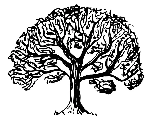 Εικονογράφηση Διάνυσμα Ένα Φυλλοβόλο Δέντρο Που Σκιαγραφήθηκαν Χέρι — Διανυσματικό Αρχείο