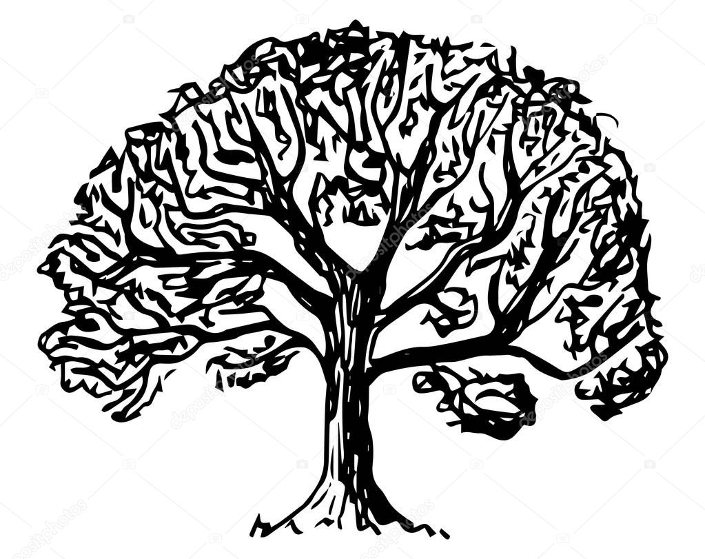 vector illustration of a deciduous tree sketched by hand