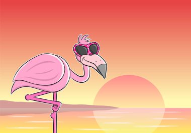 Bununla birlikte güneş gözlüklü bir karikatür flamingo vektör çizim