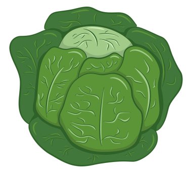 vektör çizim çizilmiş karikatür beyaz lahana