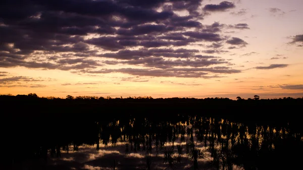 Céu Laranja Nascer Sol Uma Paisagem Zonas Húmidas Verde Escuro — Fotografia de Stock