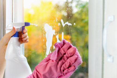 Elleri pembe koruyucu eldivenlerle evin camlarını sprey şişeyle yıkıyor. Bir kadın pencere camını bez parçasıyla temizler ve köpüklü köpükler saçar. Deterjan ile temizlik, ev rutini konsepti.