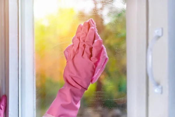 Bir kadın pencere camını yumuşak bir bez ve suyla siliyor. Evin pencerelerinde cam temizleyen pembe lastik eldivenli eli yakından çek. Ev işleri, ev işleri, temizlik konsepti..