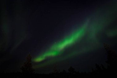 Finalnd Nordic doğa manzara arka planda inanılmaz Kuzey ışıkları Aurora Borealis. Ağaçlar arka plan ile çok güçlü Kuzey ışıkları. Aurora Borealis her yıl turist ve doğa severler çekmek.