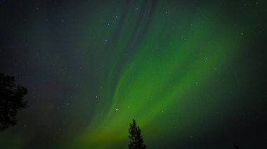 Finalnd Nordic doğa manzara arka planda inanılmaz Kuzey ışıkları Aurora Borealis. Ağaçlar arka plan ile çok güçlü Kuzey ışıkları. Aurora Borealis her yıl turist ve doğa severler çekmek.