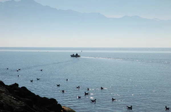 Cenevre Gölü kıyısında bahar
