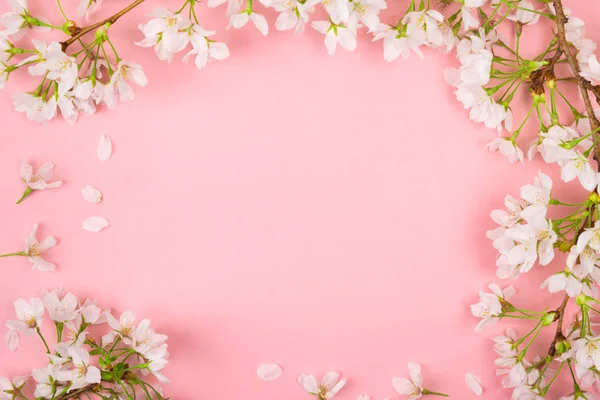 Розовый Весенний Фон Белых Цветущих Вишневых Цветов Делает Рамку Плоский — стоковое фото